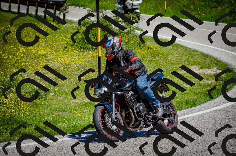 202506011133-DSC_3314_c2