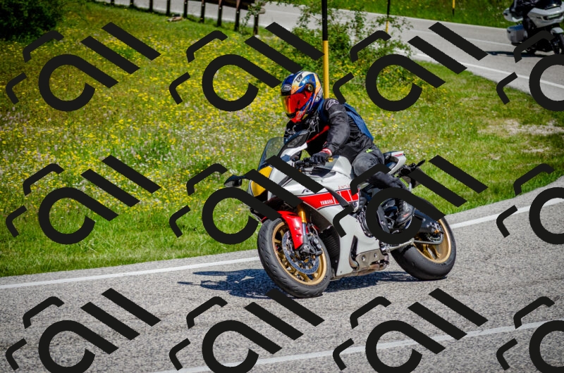 202506011133-DSC_3315_c2