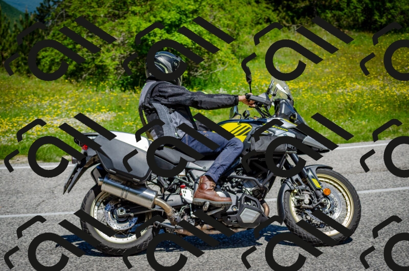 202506011134-DSC_3320_c2