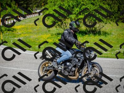 202506011134-DSC_3323_c2