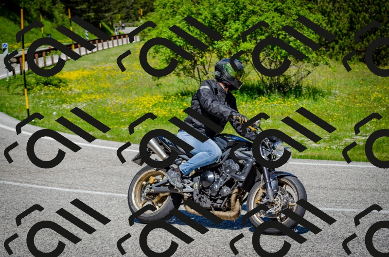 202506011134-DSC_3323_c2