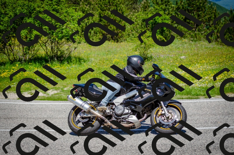 202506011134-DSC_3329_c2