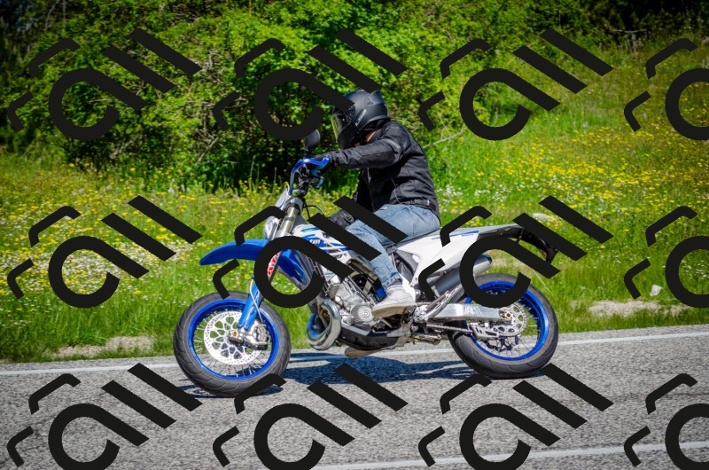 202506011135-DSC_3332_c2