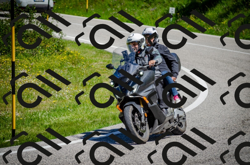 202506011136-DSC_3336_c2