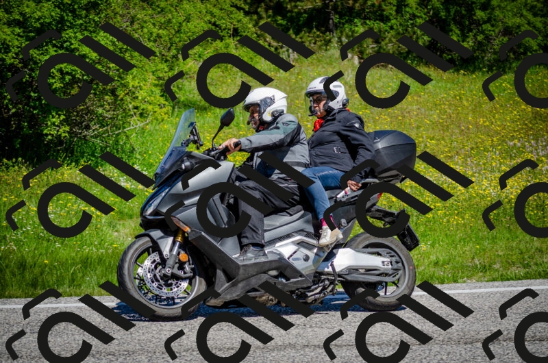 202506011136-DSC_3337_c2