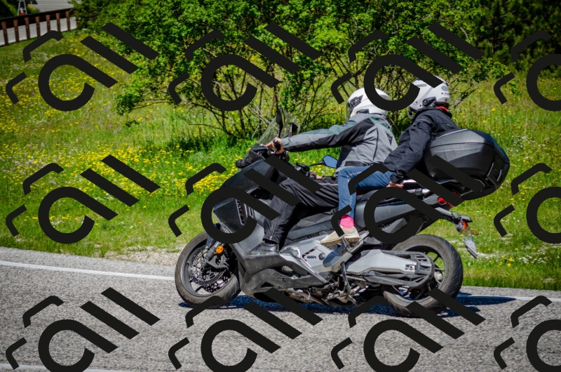 202506011136-DSC_3338_c2