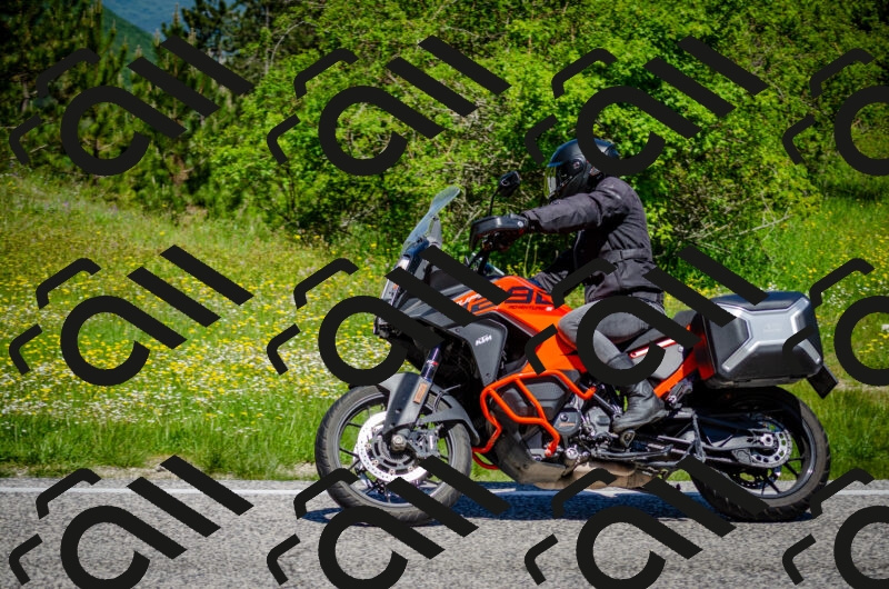 202506011136-DSC_3348_c2