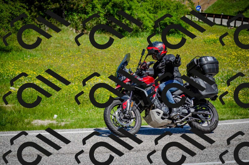 202506011136-DSC_3353_c2