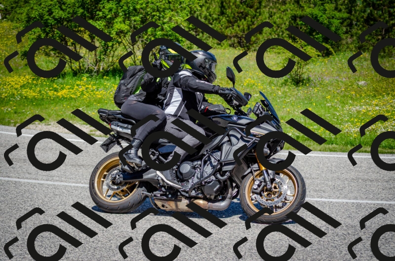 202506011137-DSC_3361_c2