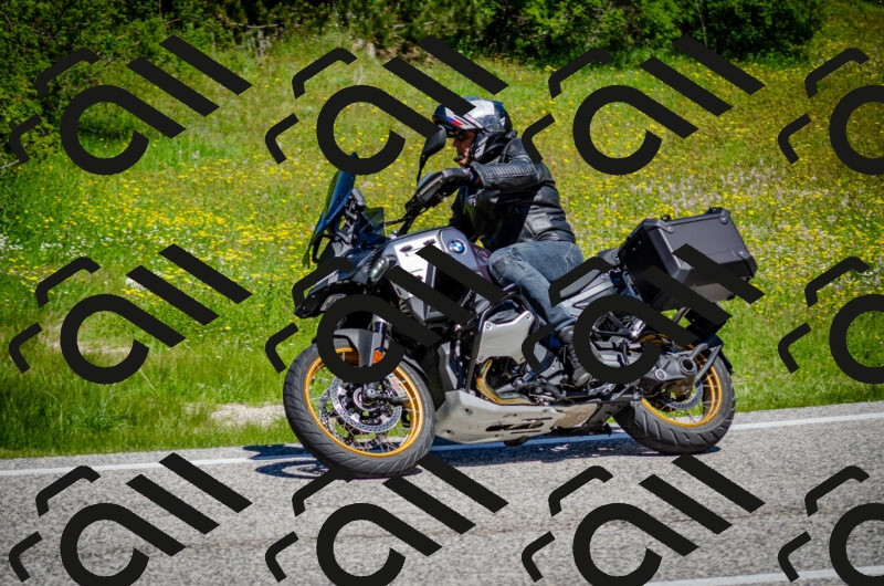 202506011137-DSC_3362_c2