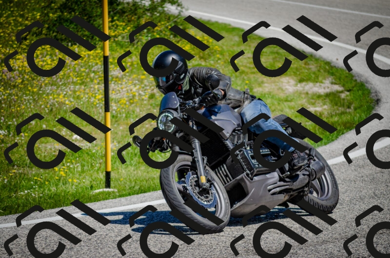 202506011137-DSC_3368_c2