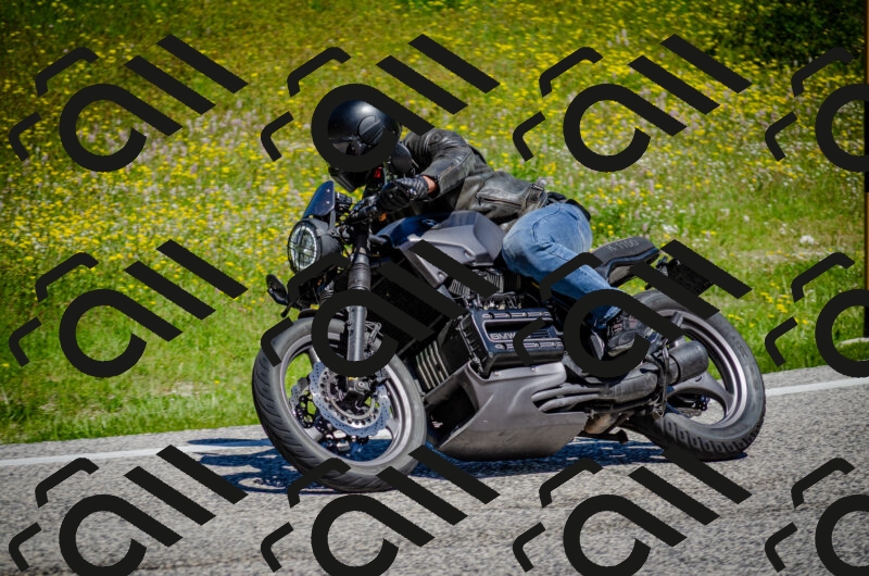 202506011137-DSC_3369_c2