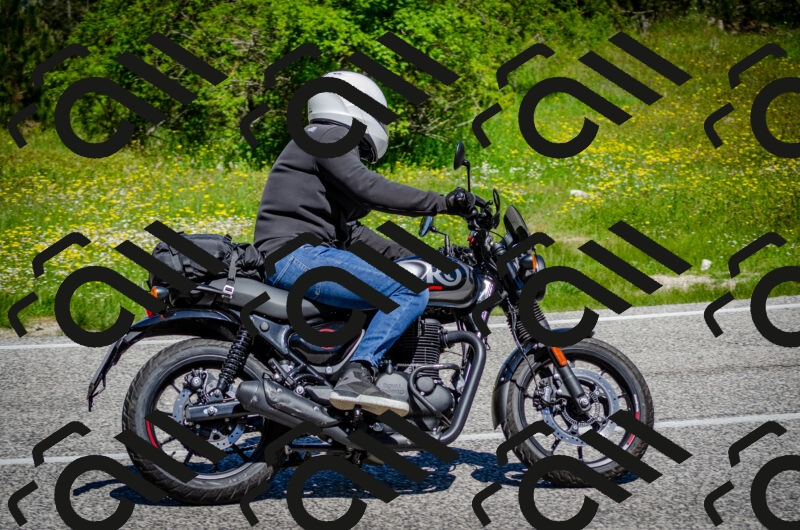 202506011139-DSC_3379_c2