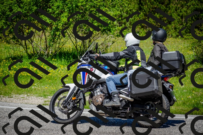 202506011139-DSC_3381_c2