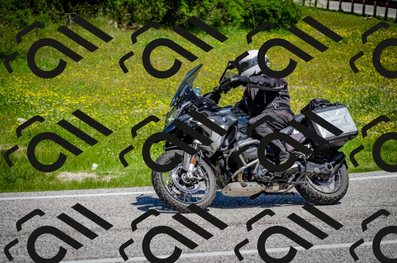 202506011139-DSC_3383_c2