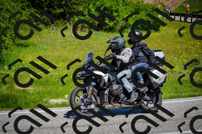 202506011139-DSC_3387_c2