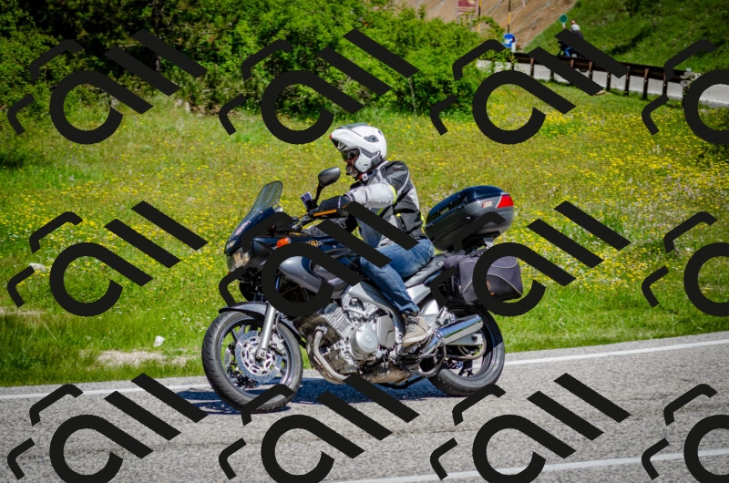 202506011139-DSC_3388_c2