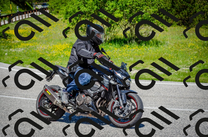 202506011139-DSC_3392_c2