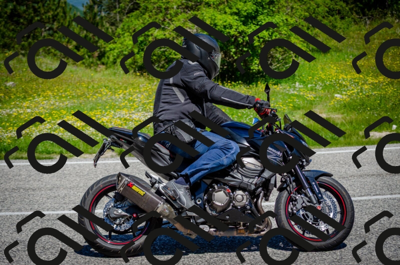 202506011139-DSC_3393_c2