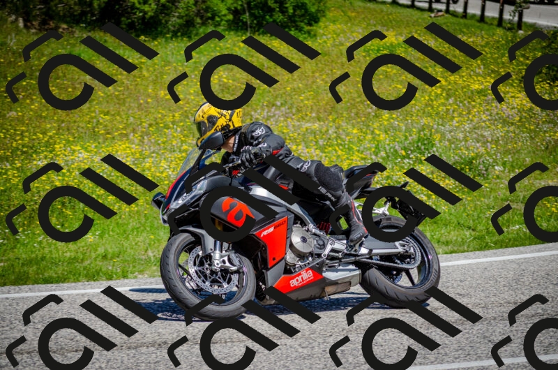 202506011139-DSC_3395_c2