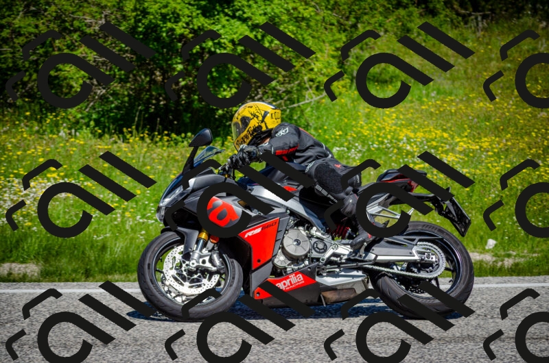 202506011139-DSC_3396_c2