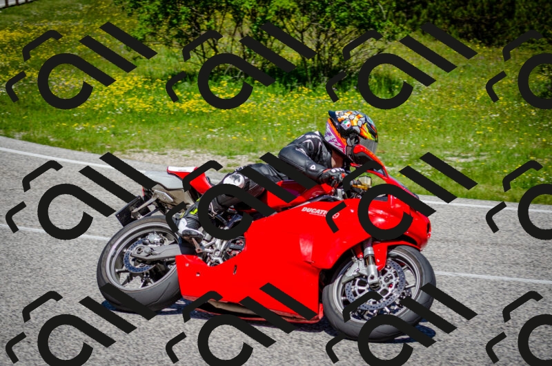 202506011139-DSC_3400_c2