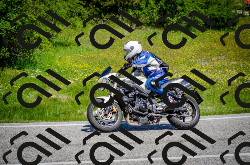 202506011139-DSC_3404_c2