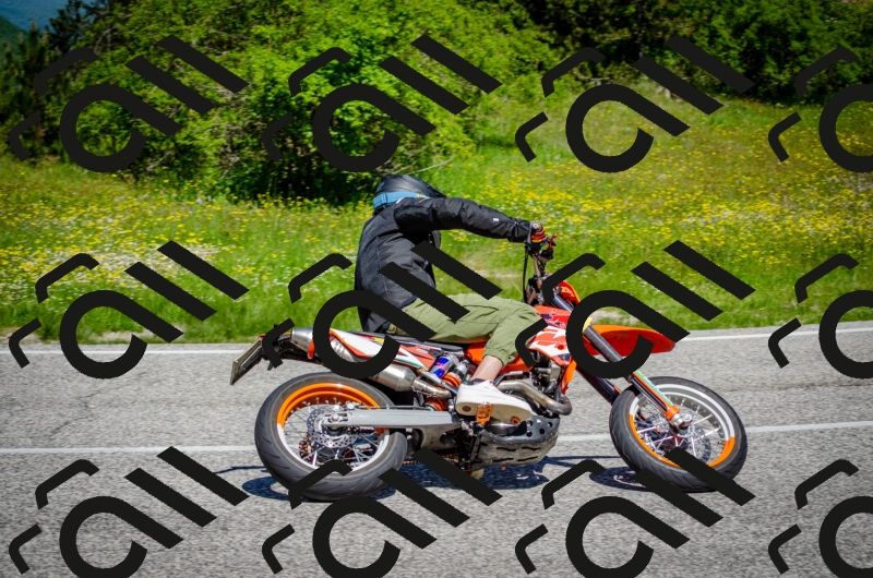 202506011139-DSC_3405_c2