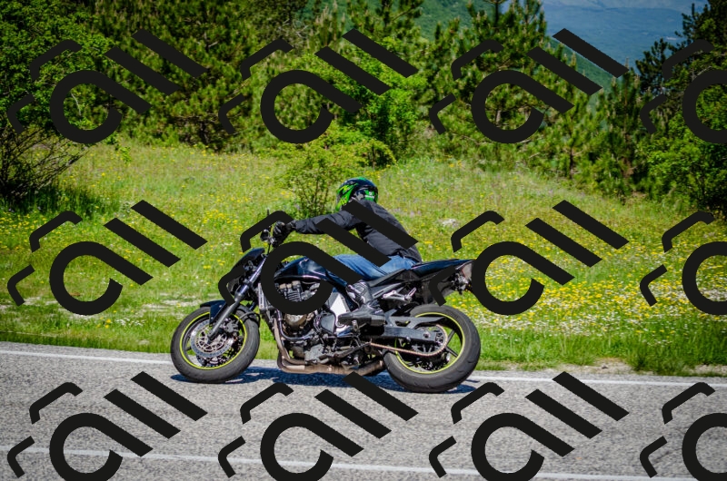 202506011139-DSC_3406_c2