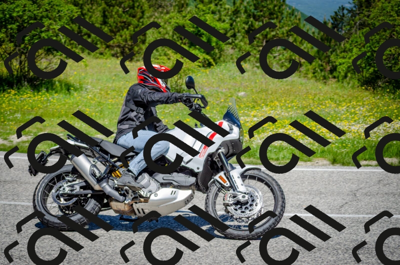 202506011140-DSC_3409_c2