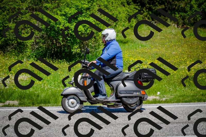 202506011140-DSC_3410_c2