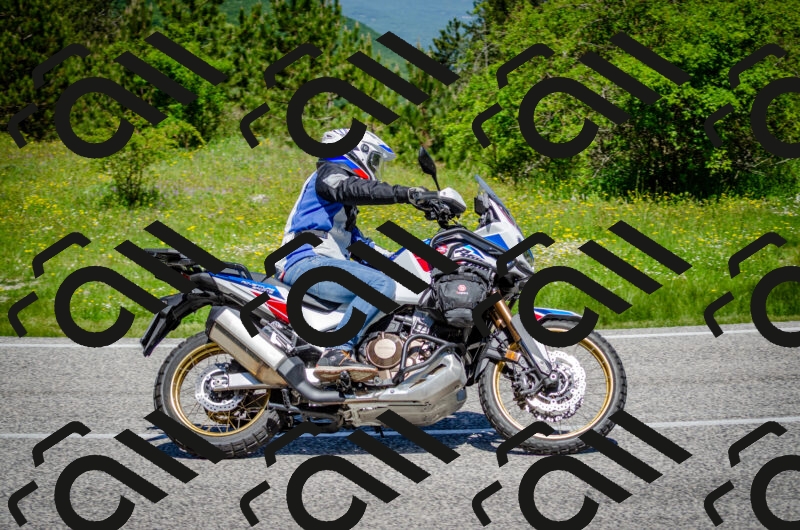 202506011140-DSC_3411_c2