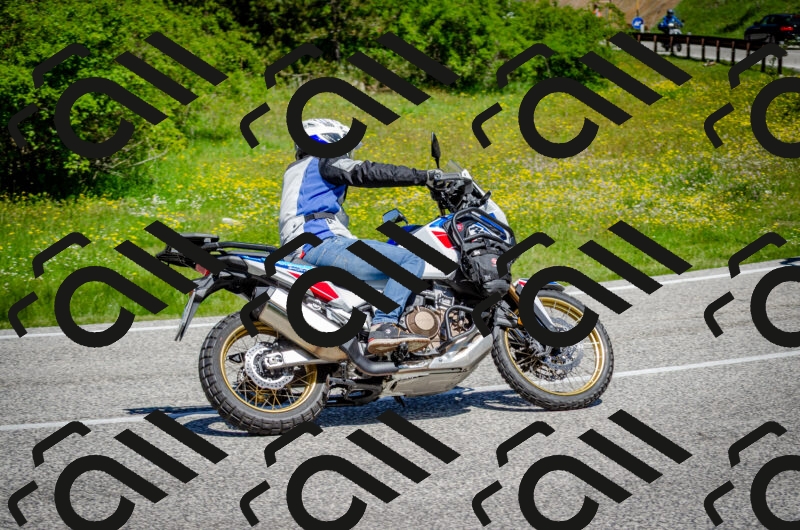 202506011140-DSC_3412_c2