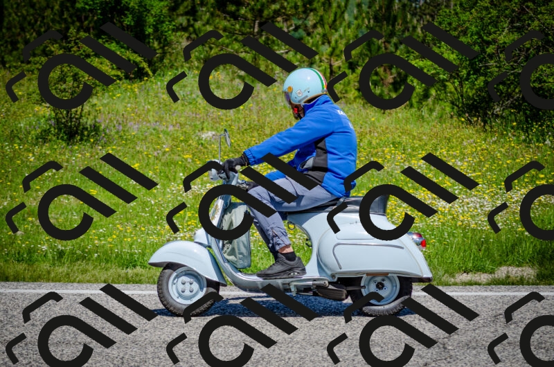 202506011140-DSC_3413_c2