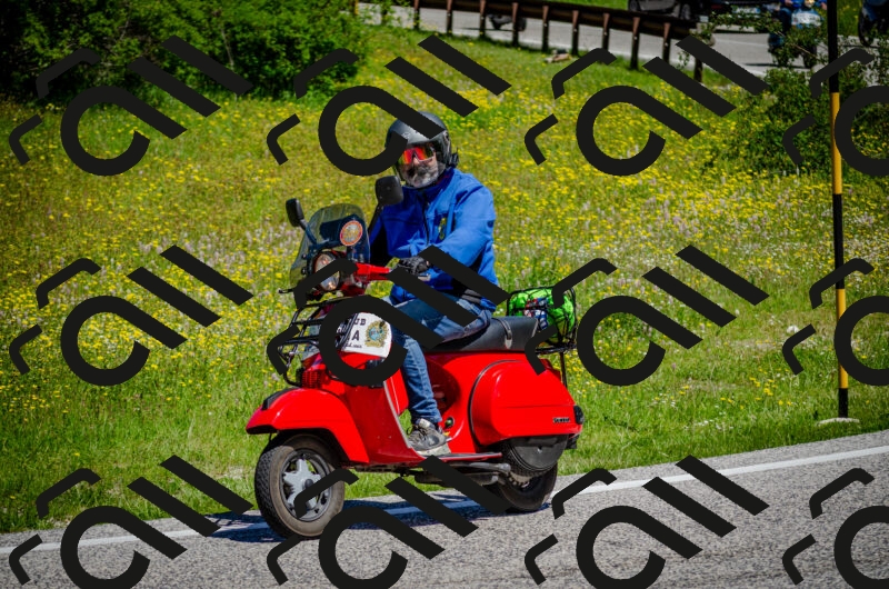 202506011141-DSC_3415_c2