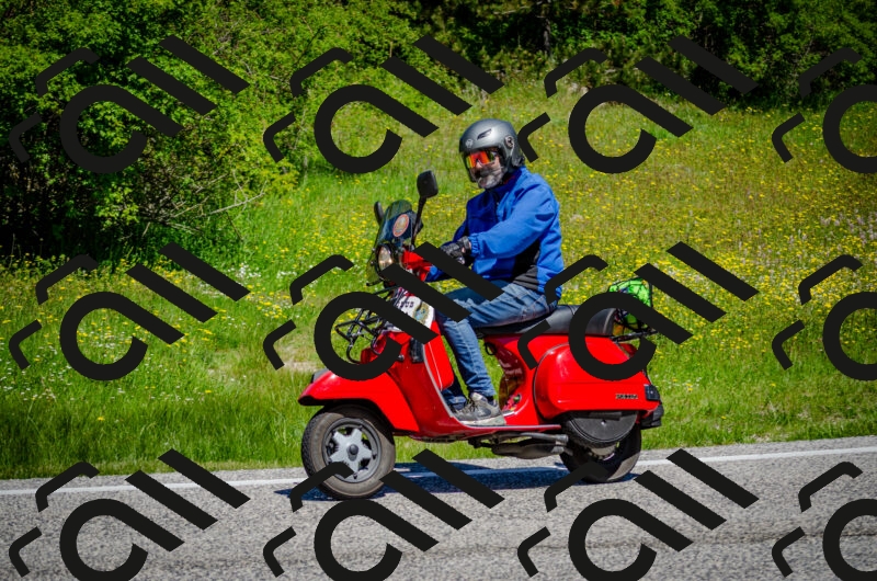 202506011141-DSC_3416_c2