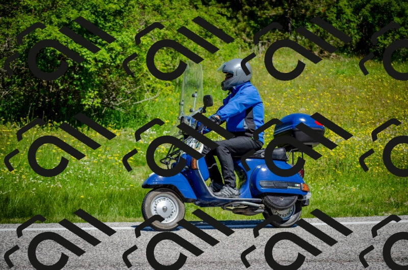 202506011141-DSC_3419_c2