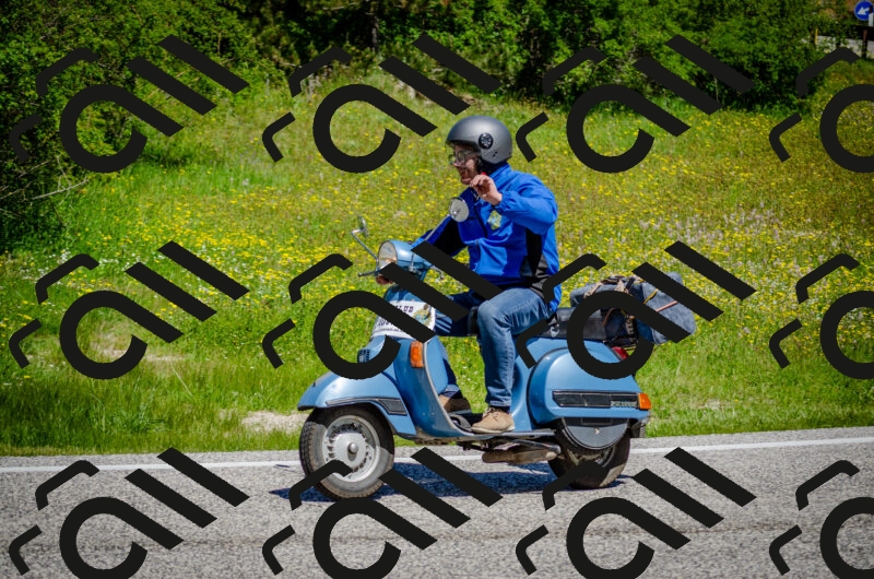 202506011141-DSC_3423_c2