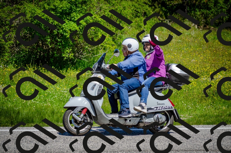 202506011141-DSC_3426_c2