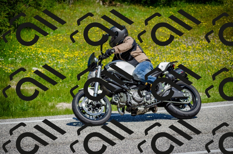 202506011143-DSC_3438_c2