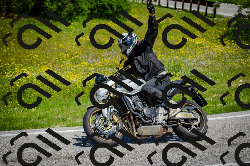 202506011143-DSC_3439_c2