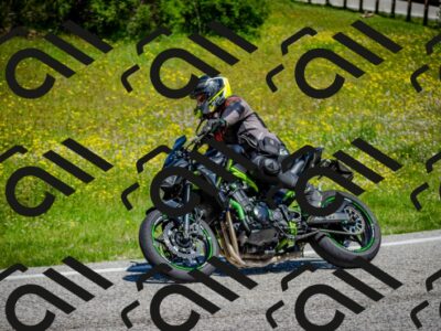 202506011143-DSC_3446_c2