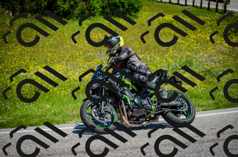 202506011143-DSC_3446_c2