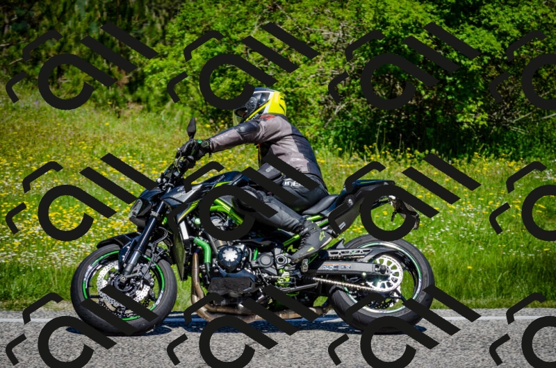 202506011143-DSC_3447_c2