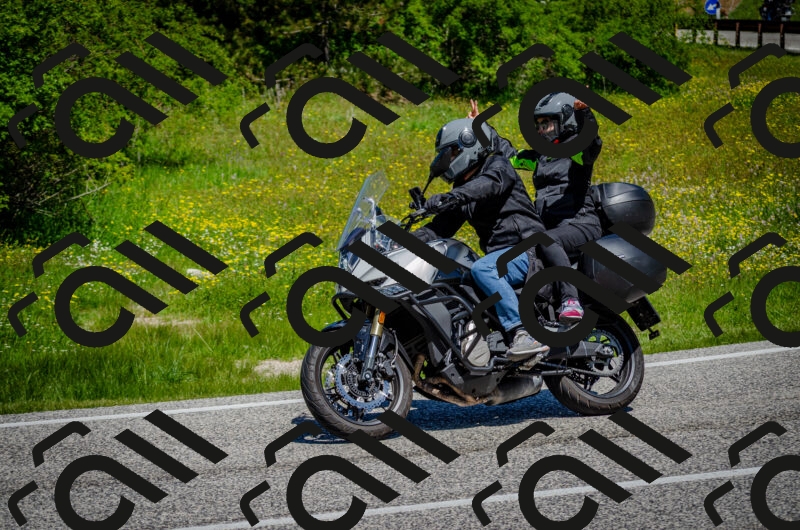 202506011144-DSC_3452_c2