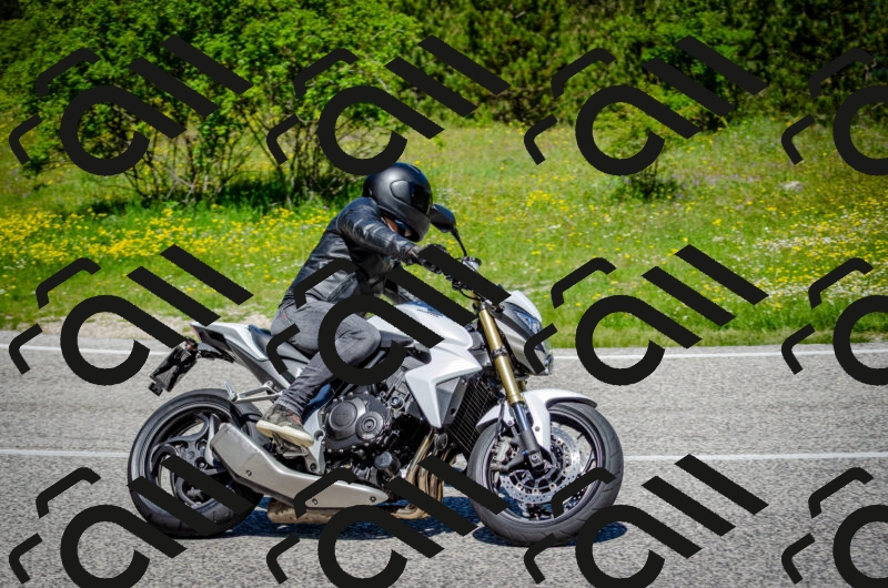 202506011144-DSC_3462_c2