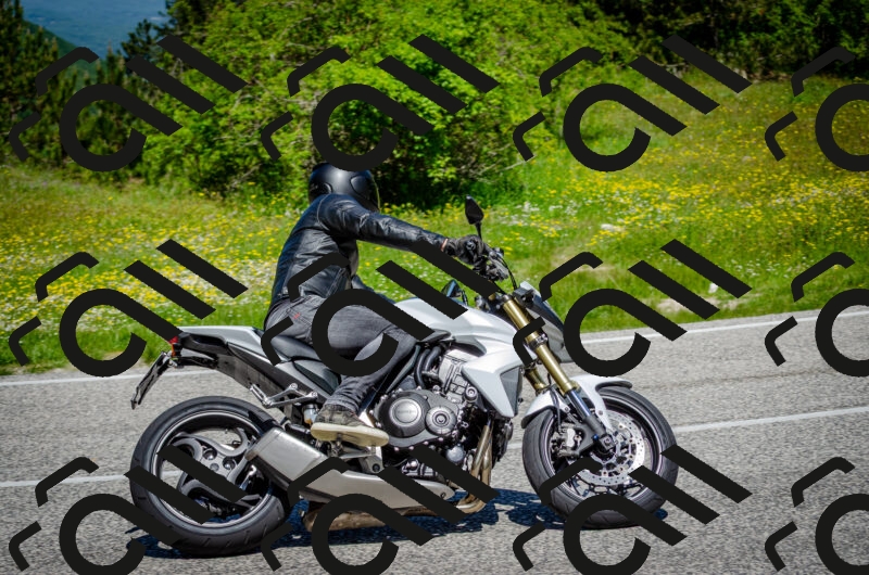 202506011144-DSC_3463_c2