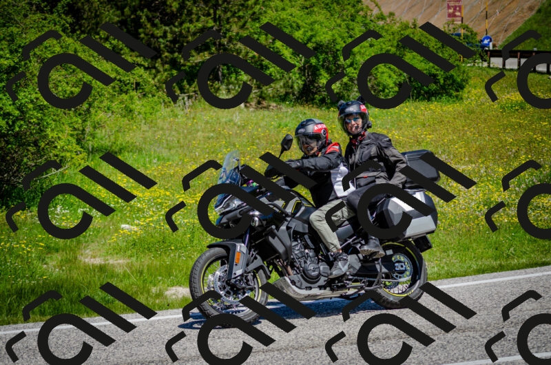 202506011144-DSC_3464_c2