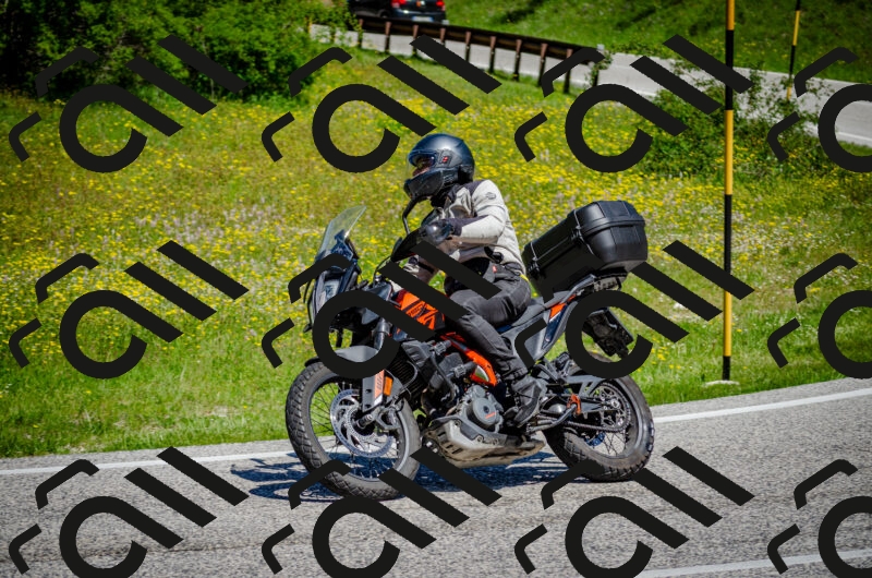 202506011145-DSC_3474_c2