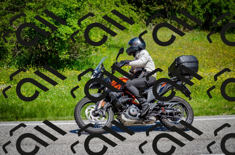 202506011145-DSC_3475_c2